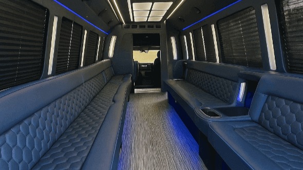 allen 20 passenger party bus