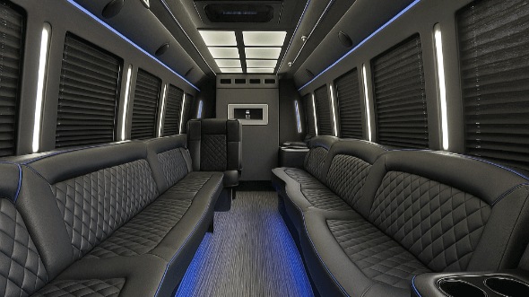 denton 20 passenger party bus rental