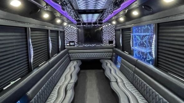 mckinney 20 passenger party bus