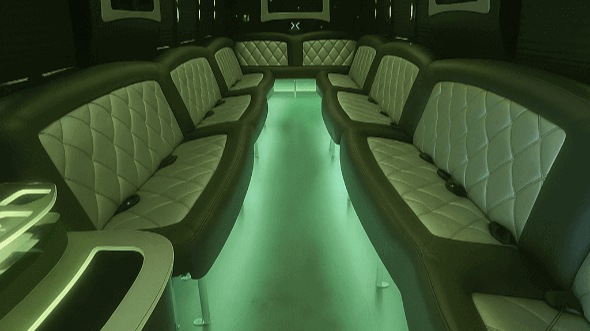plano 20 passenger party bus